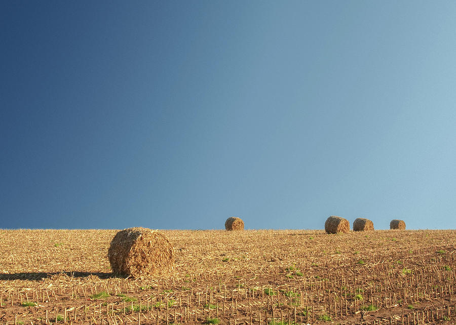 Farm Photograph - More Corn Stalk Bales by Todd Klassy