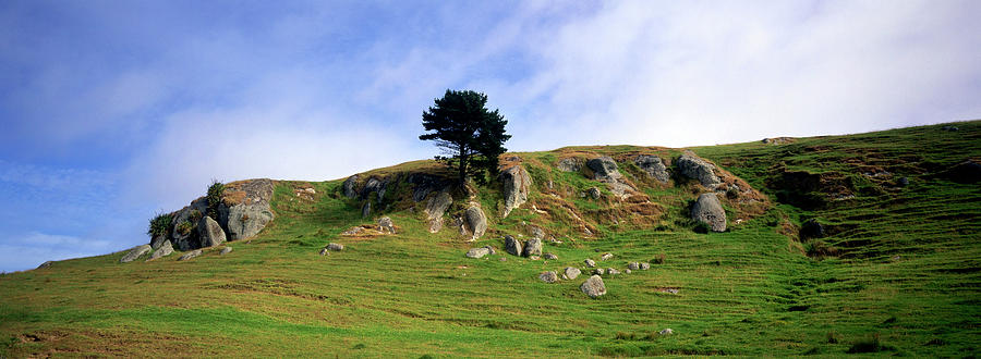 Coromandel With Rocky Landscape, North Island, New Zealand #1 Photograph by Annie Engel