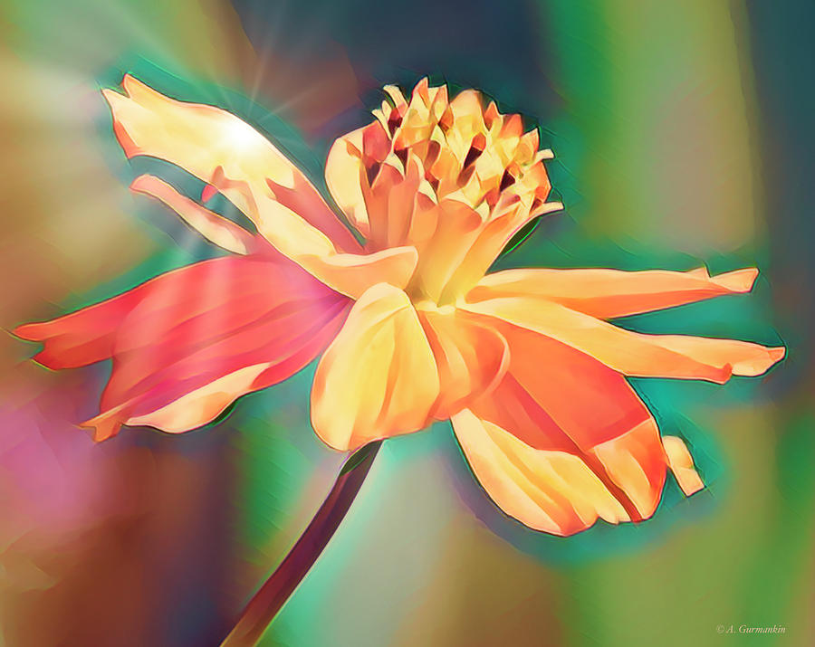 Cosmos Flower, Digital Art #1 Photograph by A Macarthur Gurmankin