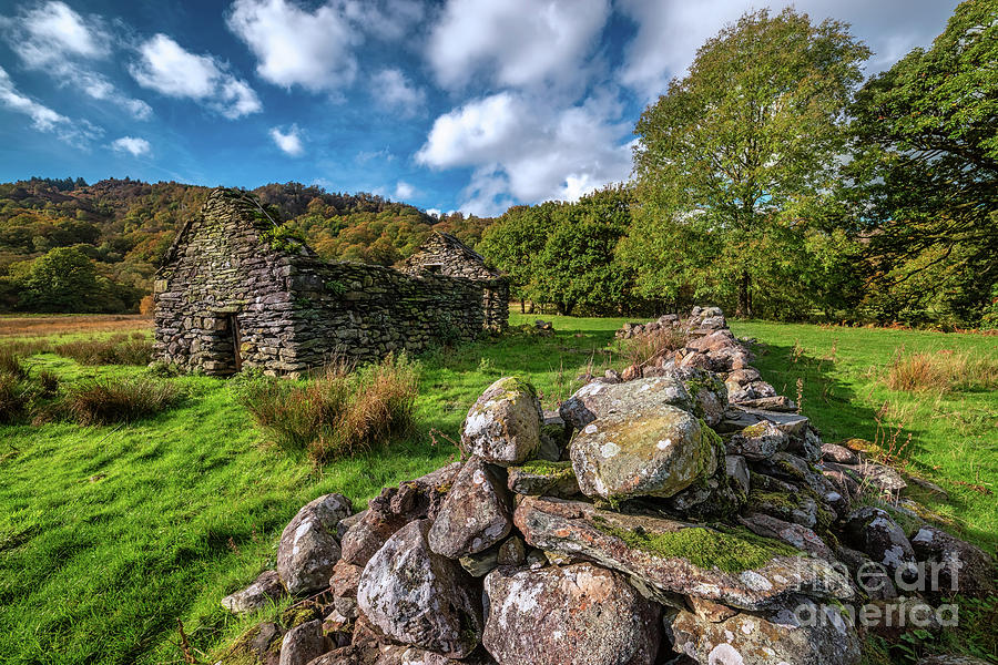 Cottage Ruin Snowdonia #1 Photograph by Adrian Evans