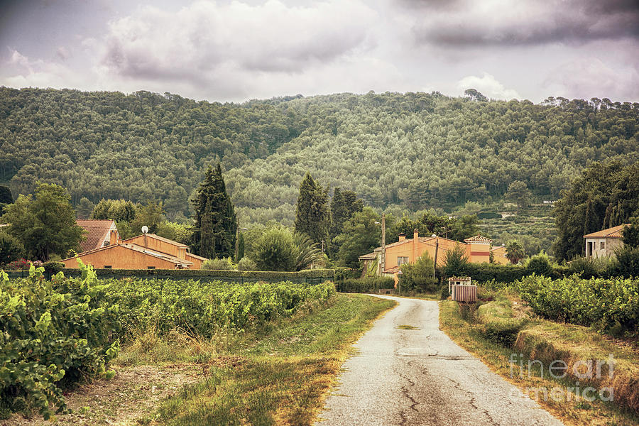 Countryside near La Castelet #1 Photograph by Ariadna De Raadt