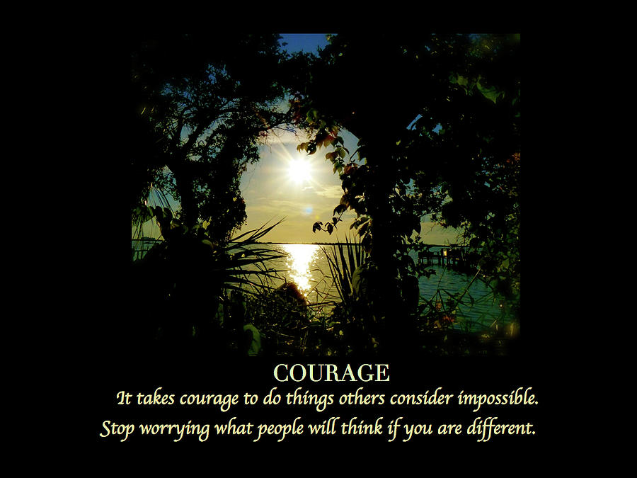 Courage-2-24 Characteristics Of A Genius Photograph