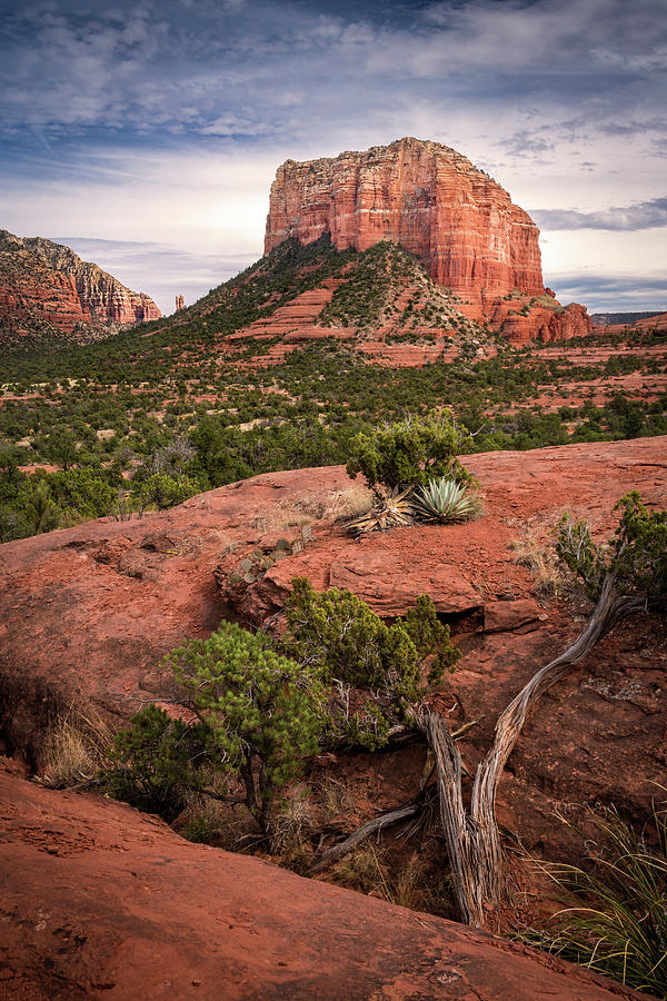Courthouse Butte #2 Photograph by Rick Strobaugh