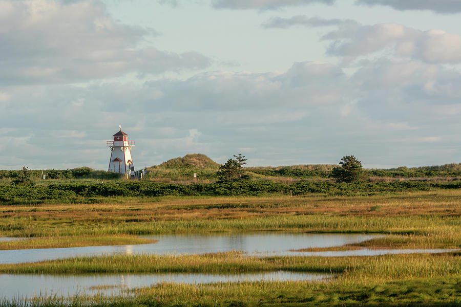 Cove Head Lighthouse Across Wetlands #2 Photograph by Douglas Wielfaert