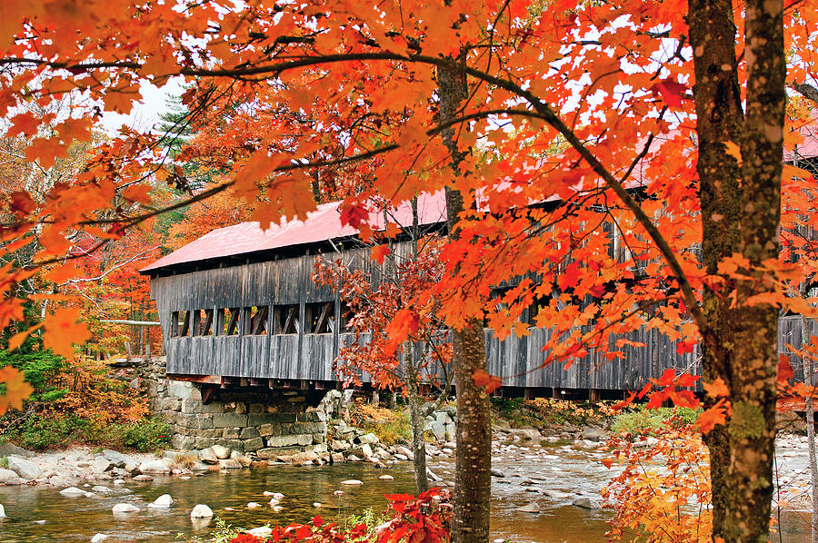 Covered Bridge, Fall, New Hampshire #1 Digital Art by Heeb Photos
