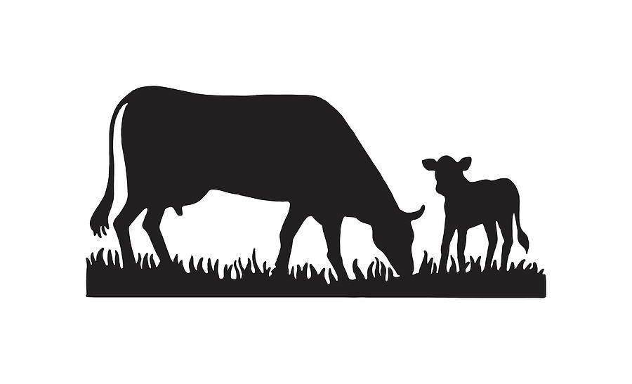 Black And White Drawing - Cow and a Calf #1 by CSA Images