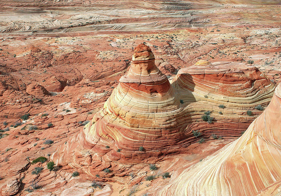 Coyote Buttes North #1 Photograph by Gary Koutsoubis