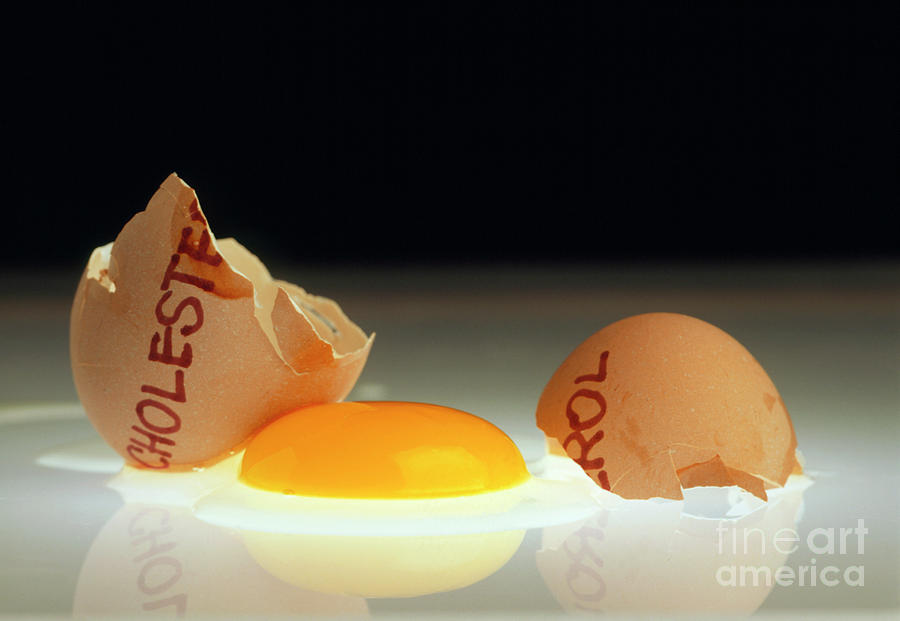 Cracked Egg As Symbol Of Cholesterol Rich Food #1 Photograph by Oscar Burriel/science Photo Library