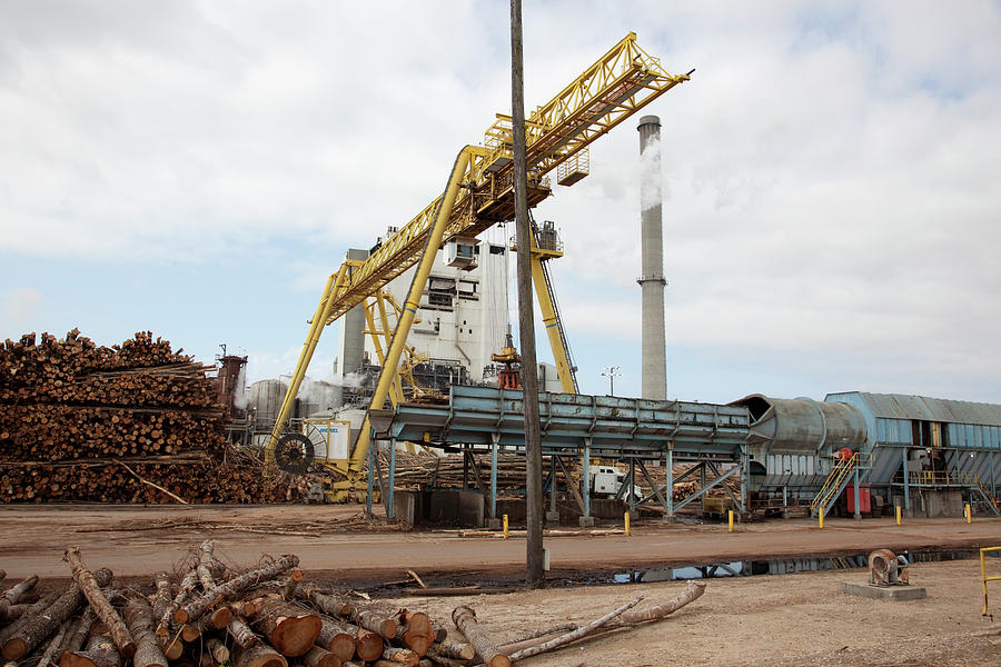 Crane Hoist Logs at Pulp Factory Painting by Carol Highsmith - Fine Art ...