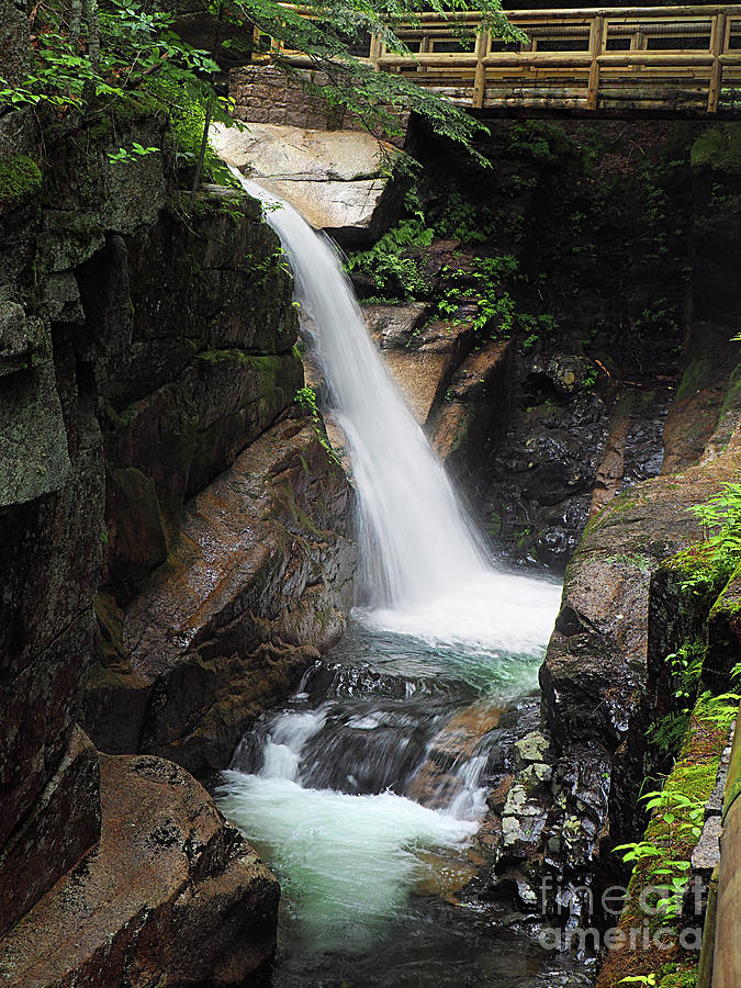 Creek Falls Photograph by Raymond Earley | Fine Art America