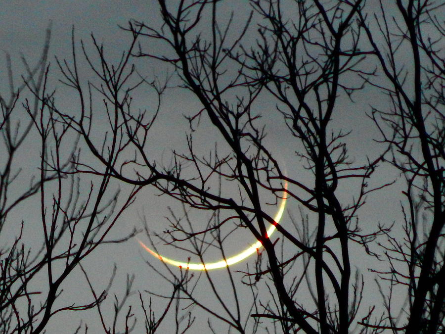 Crescent Moon Setting #1 Photograph by Virginia White