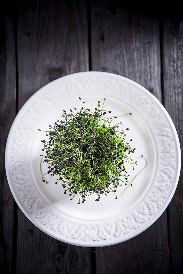 Cress On A White Plate #1 Photograph by Nitin Kapoor