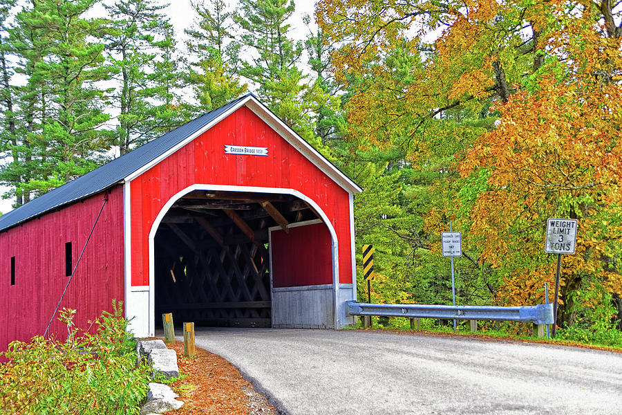 Cresson Bridge 1859 Photograph by Mike Martin - Fine Art America