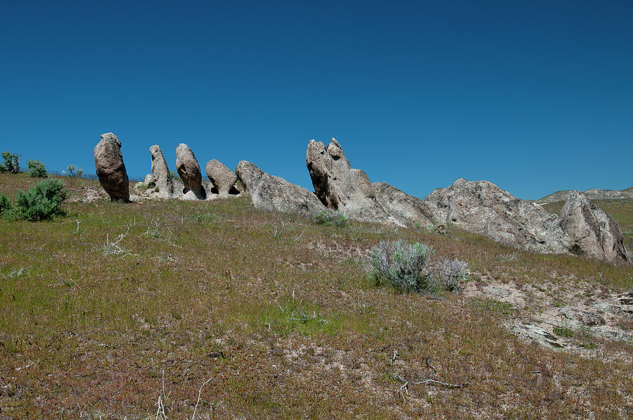 Cretaceous Granodiorite Outcrops, Idaho #1 Photograph by William Mullins