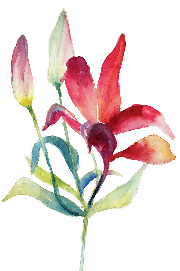 Paradise Painting - Crimson Paradise Lily #1 by Lanie Loreth