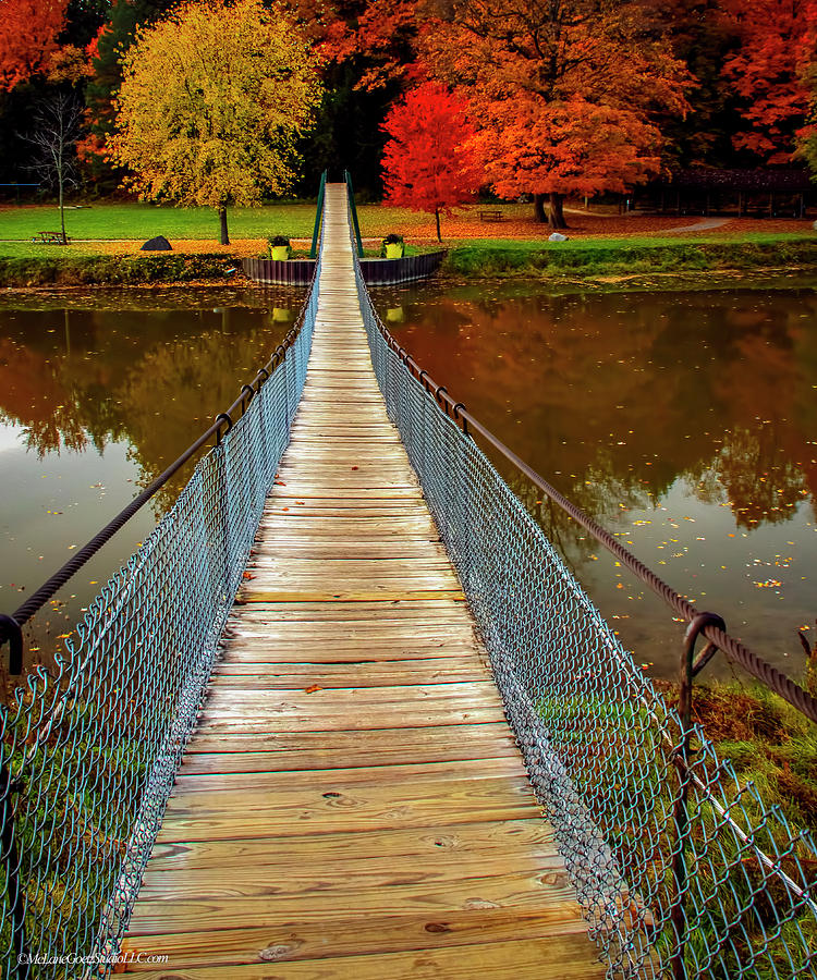 Croswell Michigan Swinging Bridge #1 Photograph by LeeAnn McLaneGoetz McLaneGoetzStudioLLCcom