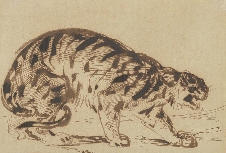 Vintage Drawing - Crouching Tiger by Eugene Delacroix
