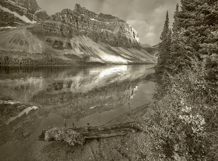 Crowfoot Mountains And Bow Lake #1 Photograph by Tim Fitzharris