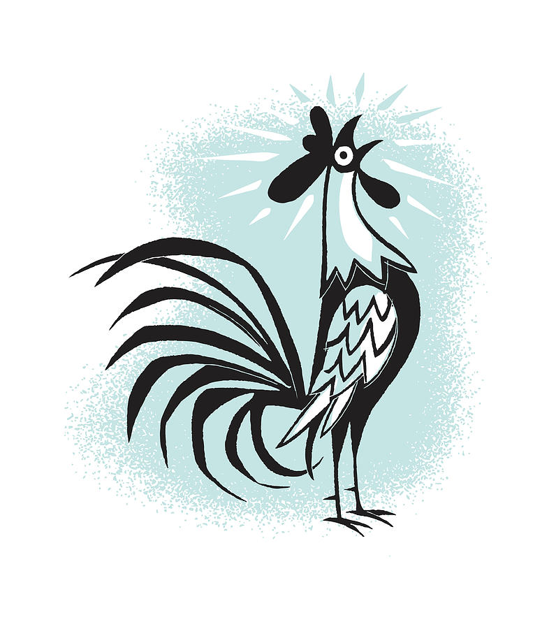 Chicken Drawing - Crowing Rooster #1 by CSA Images