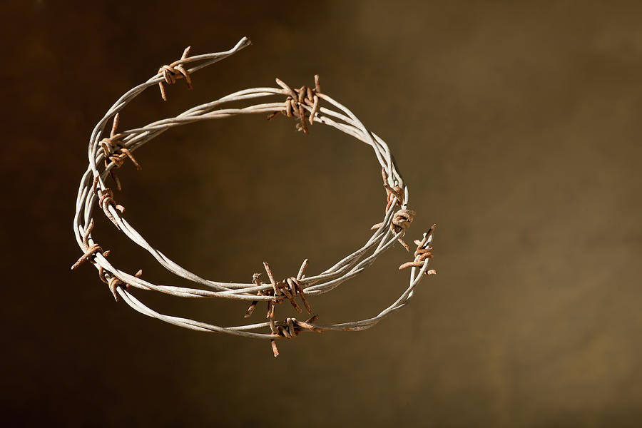 barbed wire crown