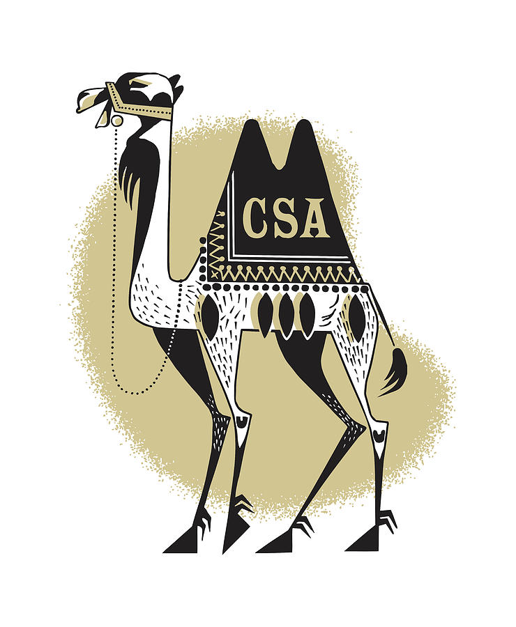 Jungle Drawing - CSA Camel #1 by CSA Images