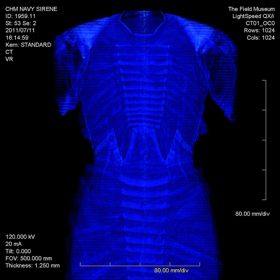 Ct Scan Of La Sirene Evening Dress #1 Photograph by Chicago History Museum