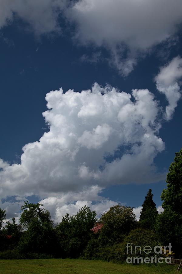 Cumulus Mediocris Clouds Over Trees #1 Photograph by Stephen Burt/science Photo Library