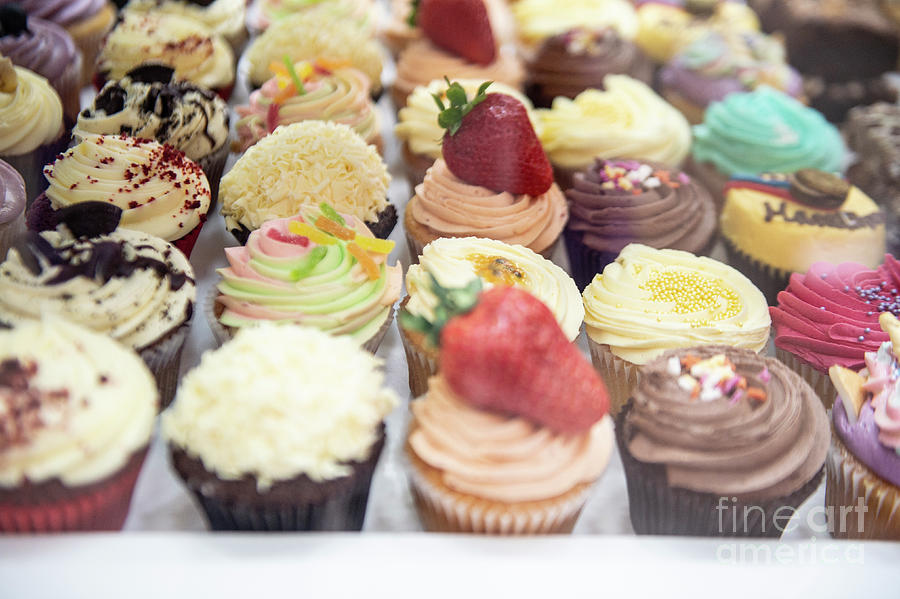Cupcakes by Jenny Potter Cupcakes by Jenny Potter