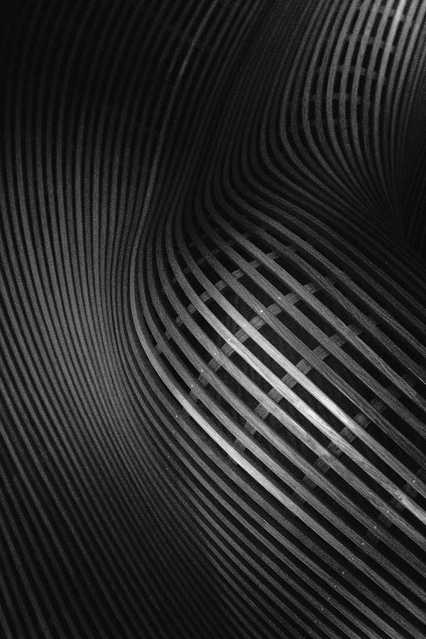 Curved Lines #1 Photograph by Olavo Azevedo