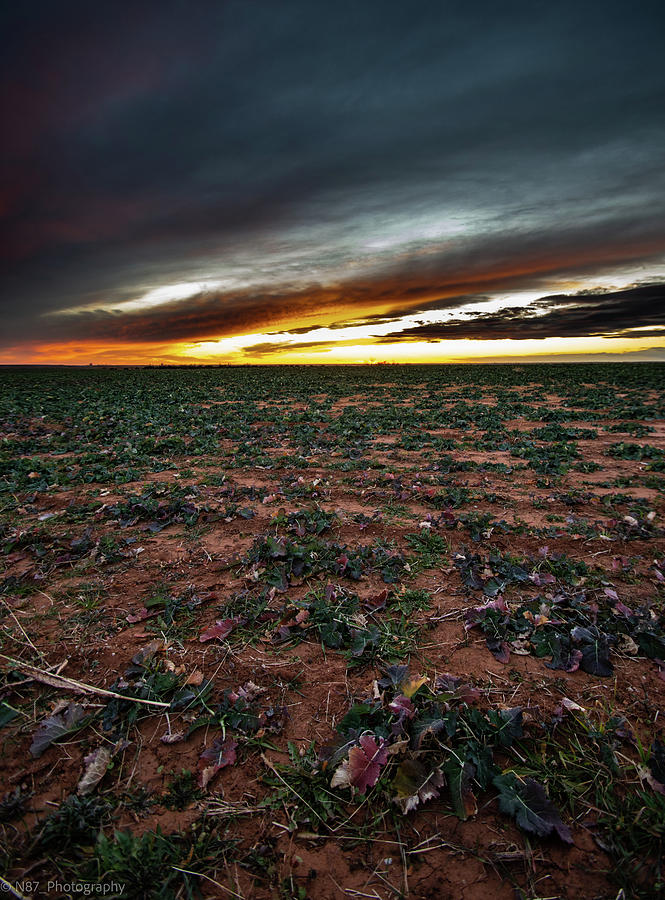 Custer County Sunset #1 Photograph by Hillis Creative