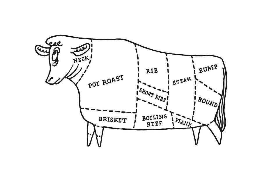 Cuts of Beef Drawing by CSA Images - Pixels