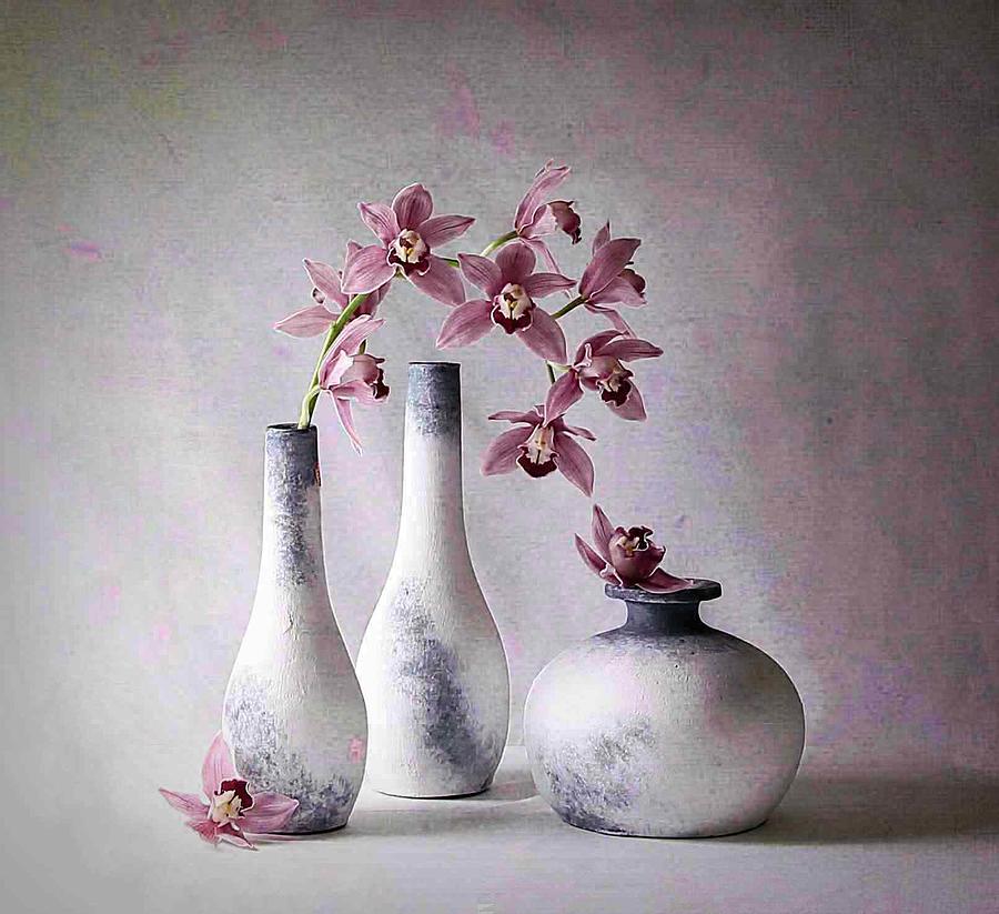 Orchid Photograph - Cymbidium Orchid #1 by Fangping Zhou