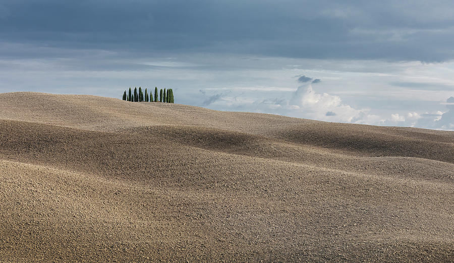 Cypress Forest With Hilly Fields In San Quirco D'orcia, Tuscany Italy #1 Photograph by Bastian Linder