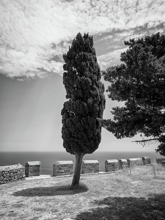 Cypress on the top of the Lindos Castle #2 Photograph by Jouko Lehto