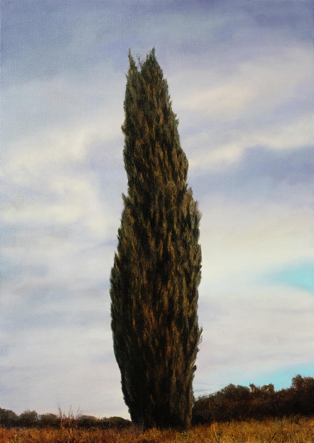 Cypress Painting by Thomas Darnell - Fine Art America