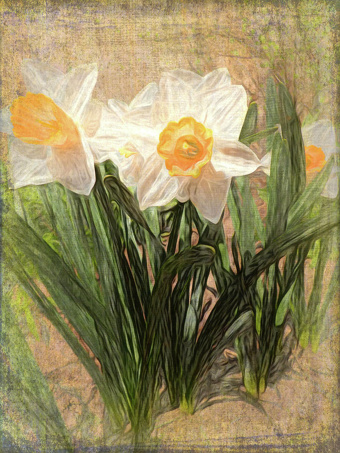 Nature Mixed Media - Daffy Dames #1 by Leslie Montgomery