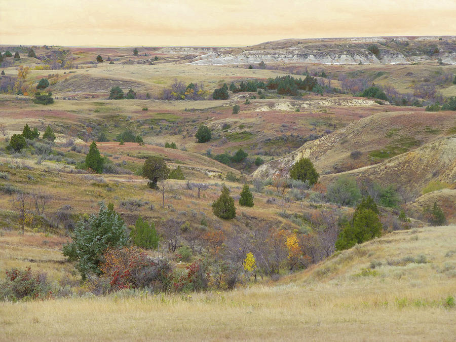 Dakota West September Prairie #1 Photograph by Cris Fulton