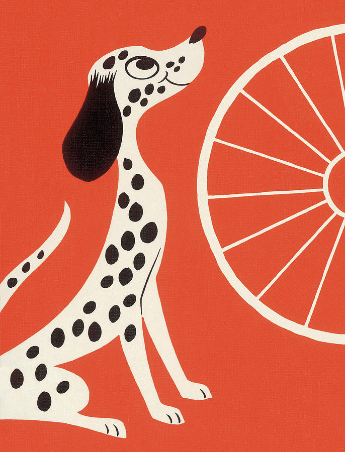 Vintage Drawing - Dalmatian Dog and Wheel #1 by CSA Images