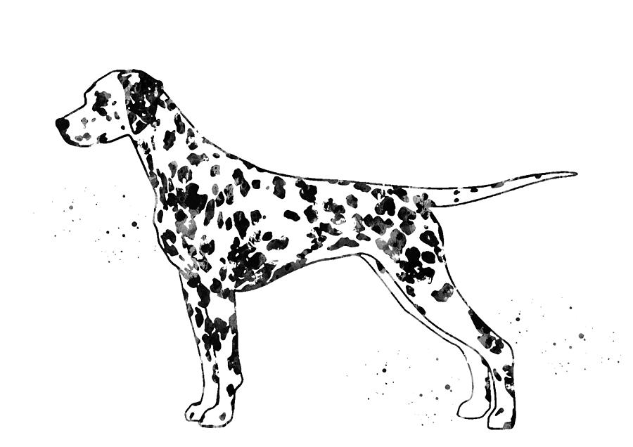 Dalmatian dog Digital Art by Erzebet S - Fine Art America