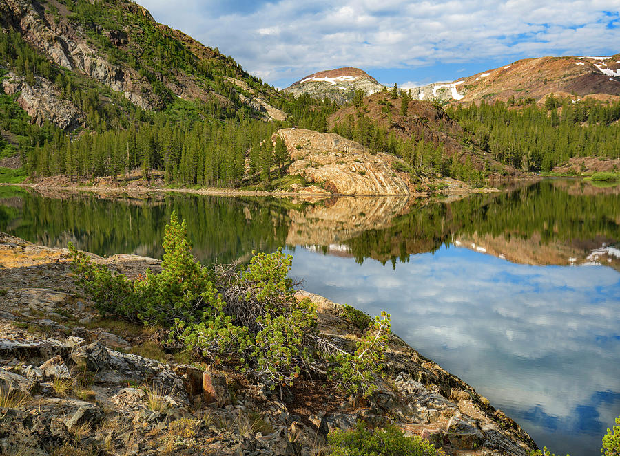 Dana Plateau From Ellery Lake, Sierra Nevada, Inyo National Forest, California #1 Photograph by Tim Fitzharris