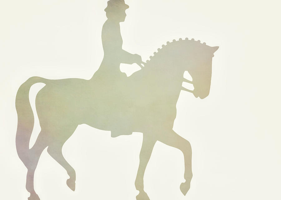 DANCE PARTNER by Dressage Design DANCE PARTNER by Dressage Design