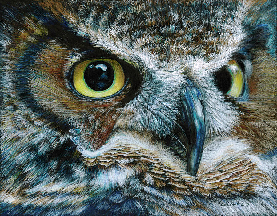 Animal Painting - Dark Owl #1 by Carla Kurt