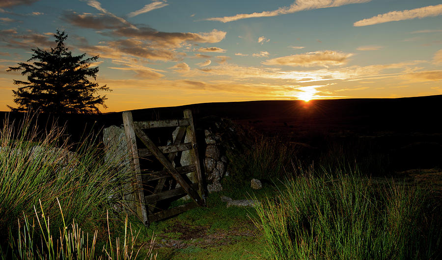 Dartmoor Gate at Sunrise ii #1 Photograph by Helen Jackson