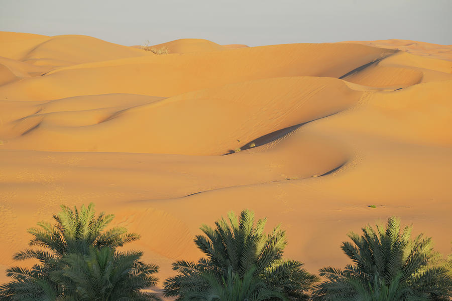 UAE Sand Dunes; Liwa Desert Sand Dune In Abu Dhabi, Dubai