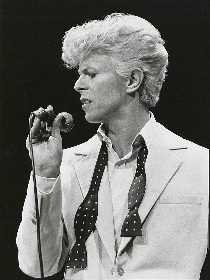 Celebrity Photograph - David Bowie #2 by Dmi