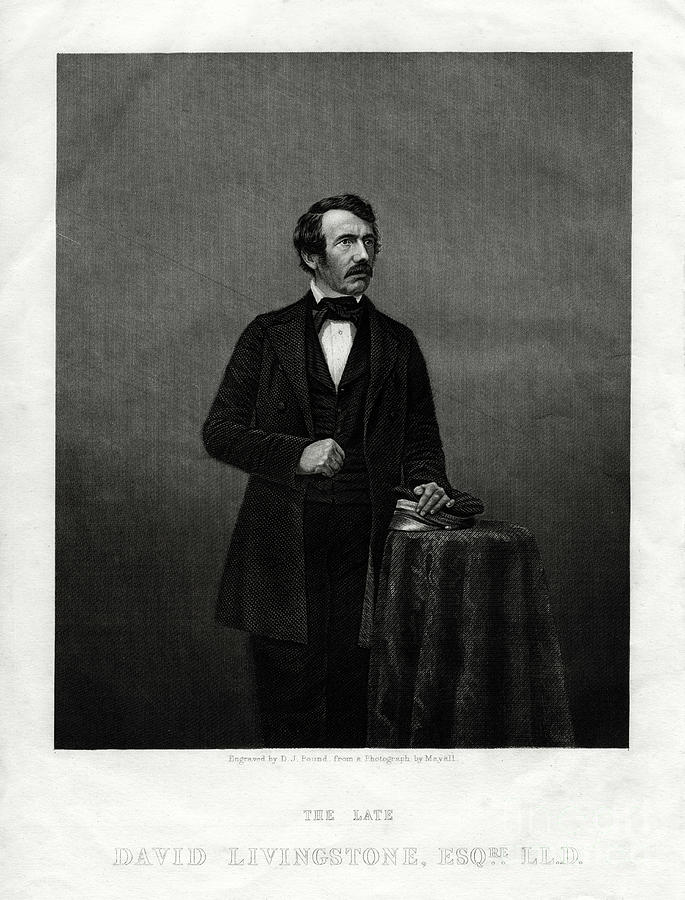 David Livingstone, Scottish Missionary #1 Drawing by Print Collector