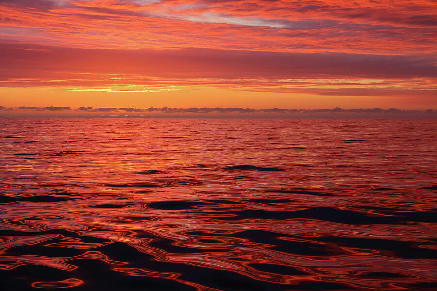 Dawn Over The North Sea, June #1 Photograph by Philip Stephen / Naturepl.com Dawn Over The North Sea, June #1 Photograph by Philip Stephen / Naturepl.com