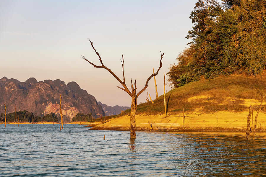 Dead Trees In The Water During Boat Trip On Ratchaprapha Lake In The Evening Light, Khao Sok National Park, Khao Sok. Thailand #1 Photograph by Robin Runck