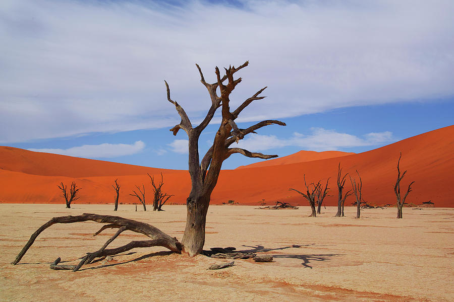 Dead Vlei Namib Desert #1 Photograph by Hiroya Minakuchi