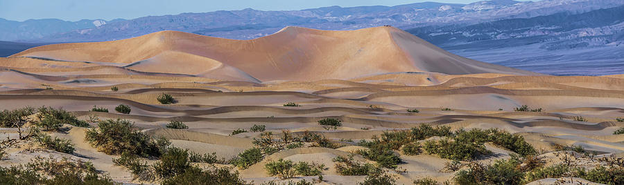 Death Valley National Park Sand Dunes At Sunset #1 Photograph by Alex Grichenko